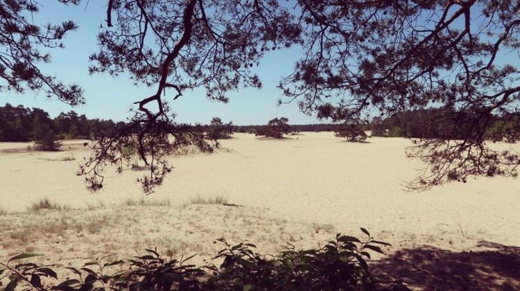 Www Huis Op De Veluwe Nl ヌンスペート エクステリア 写真