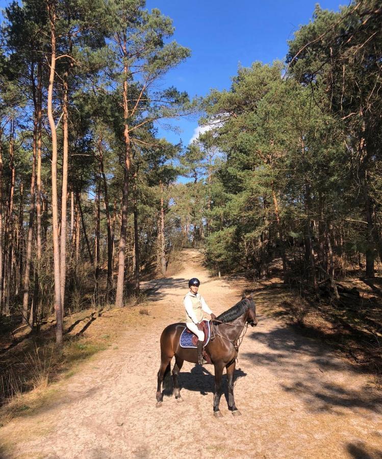 Www Huis Op De Veluwe Nl ヌンスペート エクステリア 写真
