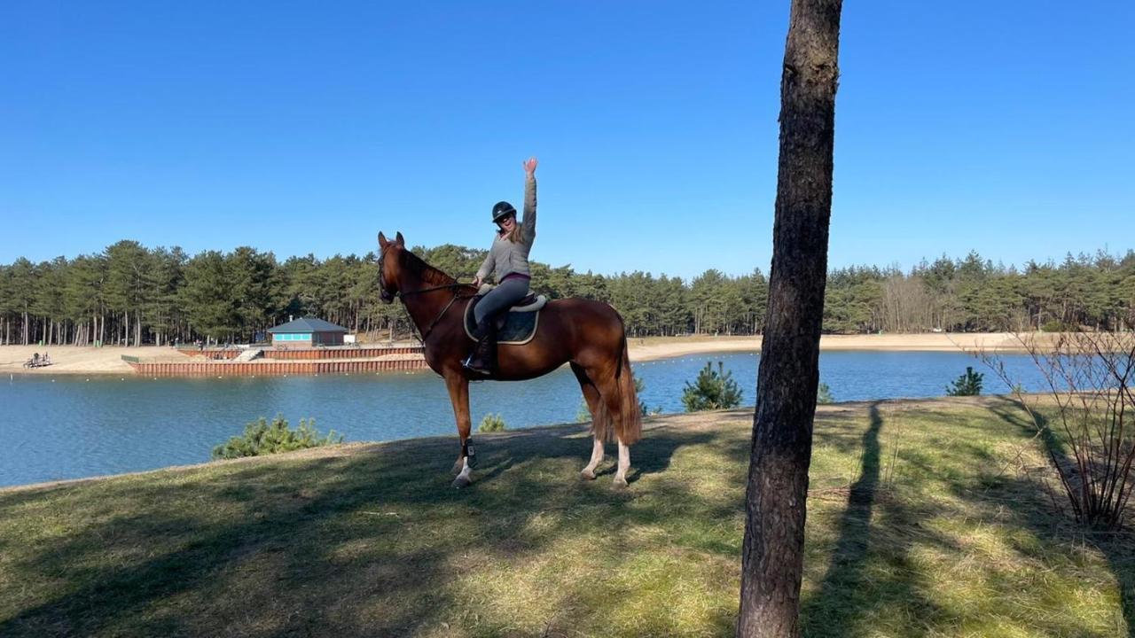 Www Huis Op De Veluwe Nl ヌンスペート エクステリア 写真